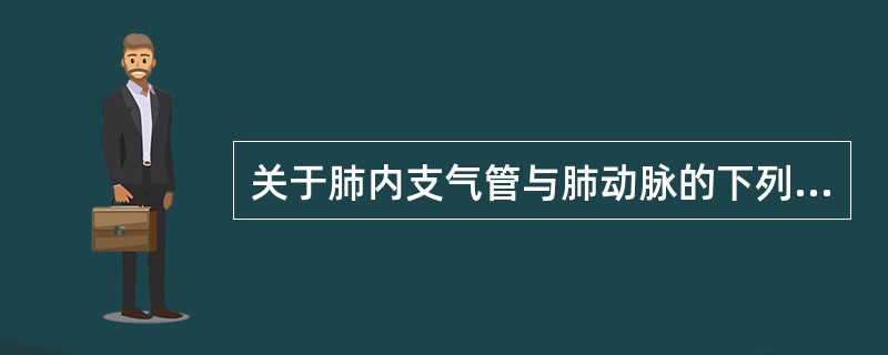 关于肺内支气管与肺动脉的下列描述中哪一项是错误的（）