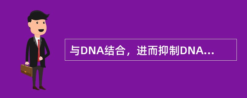 与DNA结合，进而抑制DNA和RNA合成的药物（）