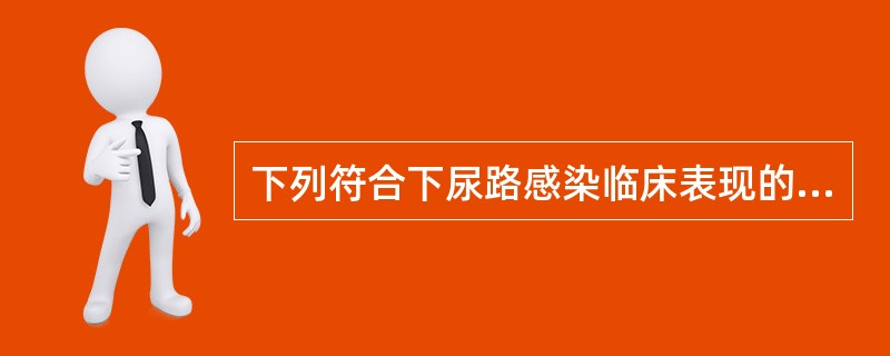 下列符合下尿路感染临床表现的是（）。