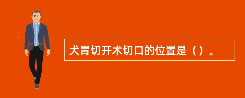 犬胃切开术切口的位置是（）。