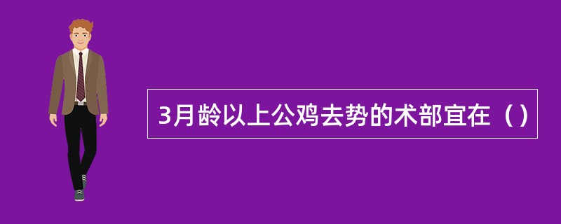 3月龄以上公鸡去势的术部宜在（）