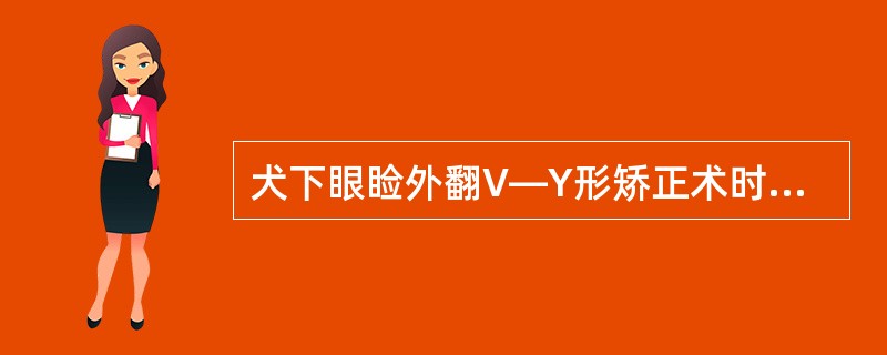 犬下眼睑外翻V—Y形矫正术时，应将分离的皮瓣进行（）。