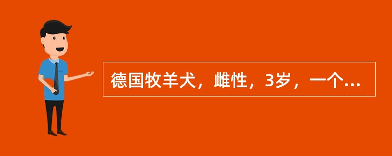 德国牧羊犬，雌性，3岁，一个半月前发情，但未配次种。近日突然精神沉郁，衰弱，被毛