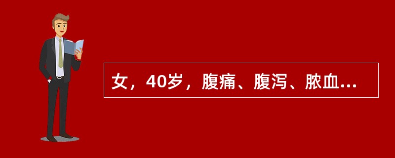 女，40岁，腹痛、腹泻、脓血便、里急后重，结合图像，最可能的诊断是（）