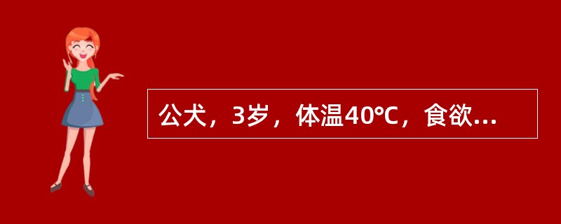 公犬，3岁，体温40℃，食欲不振，不安。表现便秘和里急后重，弓背，步态强拘。触诊