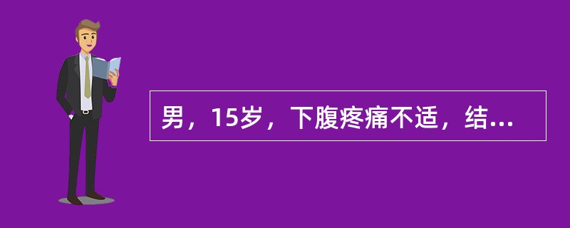 男，15岁，下腹疼痛不适，结合图像，最可能的诊断是（）