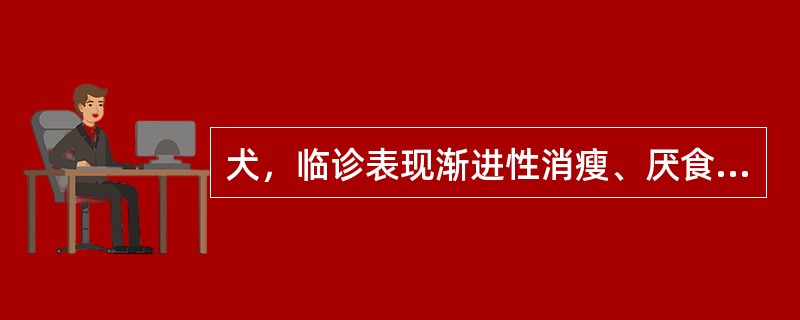 犬，临诊表现渐进性消瘦、厌食、发热、虚弱、咳嗽、呼吸困难、呕吐、腹泻、腹水、贫血