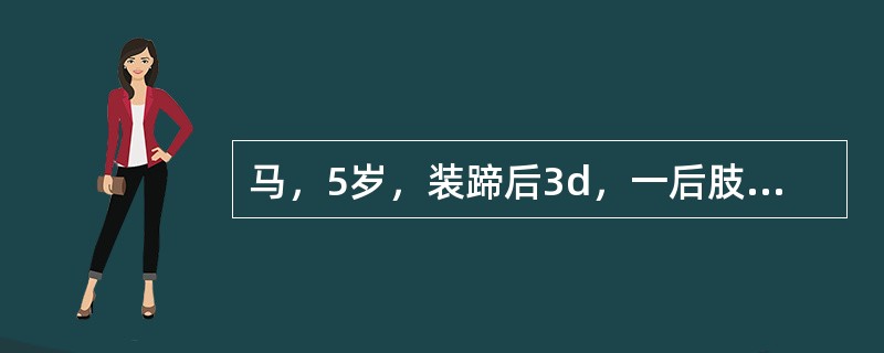 马，5岁，装蹄后3d，一后肢出现运步障碍，蹄温增高，趾动脉亢进．蹄钳压诊敏感，其