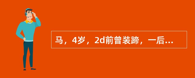 马，4岁，2d前曾装蹄，一后肢出现运步障碍，蹄温增高，趾动脉亢进，蹄钳压诊敏感，