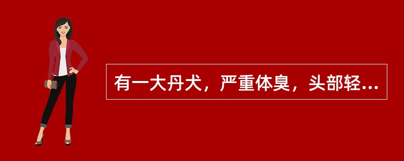 有一大丹犬，严重体臭，头部轻微晃动，经医生检查，该犬患中耳炎，并有脓性分泌物流出