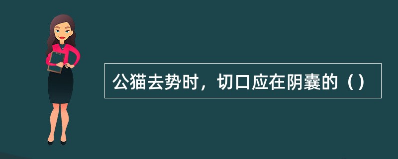 公猫去势时，切口应在阴囊的（）