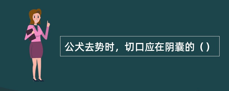 公犬去势时，切口应在阴囊的（）