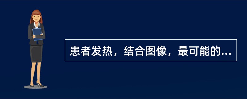 患者发热，结合图像，最可能的诊断为（）