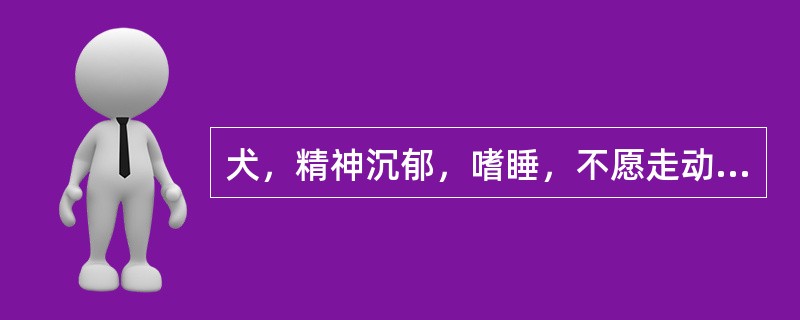 犬，精神沉郁，嗜睡，不愿走动。被毛粗乱、稀疏、无光泽；身上有异味；自尾部开始向前