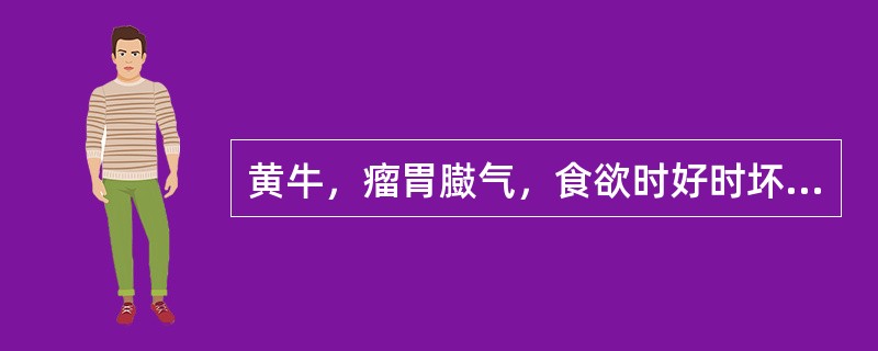 黄牛，瘤胃臌气，食欲时好时坏，体况不良，磨牙。粪便呈糊状，量减少。不见反刍，偶尔