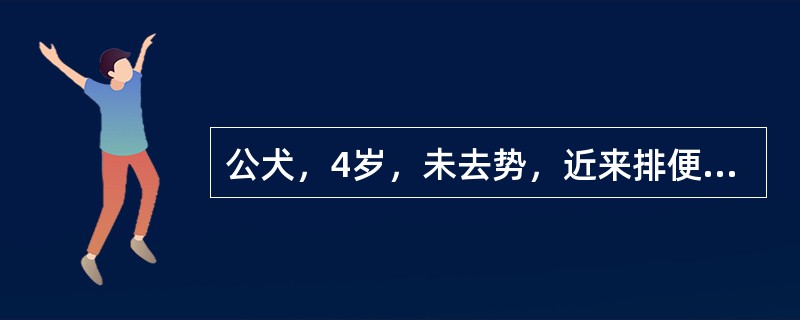 公犬，4岁，未去势，近来排便困难，频频努责，仅排出少量黏液，呈顽固性便秘。直肠检