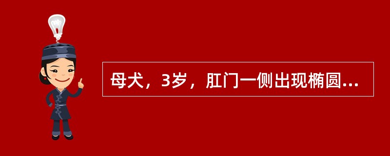 母犬，3岁，肛门一侧出现椭圆形柔软肿胀，无热无痛，检查可见对侧皮肤松弛，用手由下