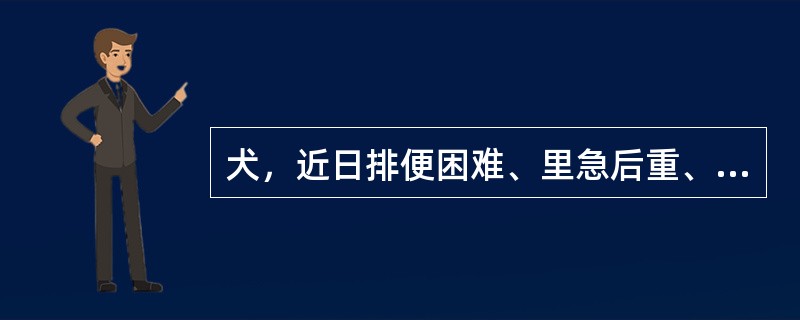 犬，近日排便困难、里急后重、咬尾、舔肛、肛门周围红肿，但皮肤完整，白细胞数增高。