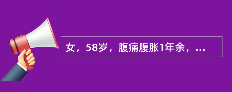 女，58岁，腹痛腹胀1年余，结合图像，最可能的诊断为（）