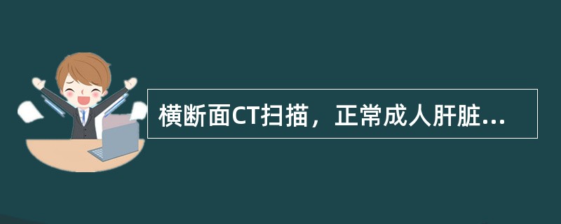 横断面CT扫描，正常成人肝脏上下径为（）