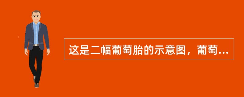 这是二幅葡萄胎的示意图，葡萄胎确诊后哪项措施不恰当()