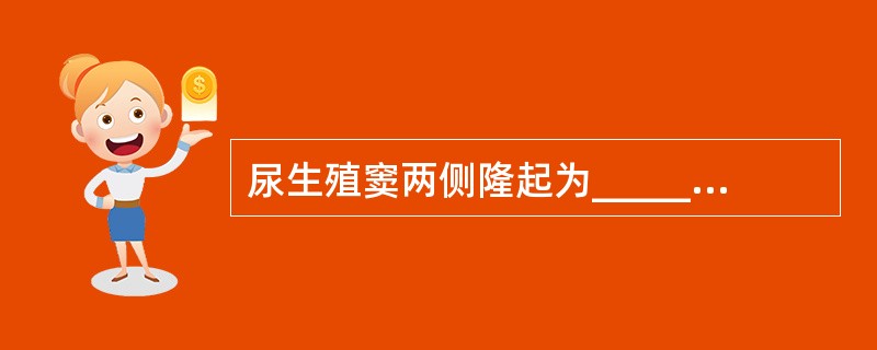 尿生殖窦两侧隆起为________，________的前方相会合呈结节形成隆起，