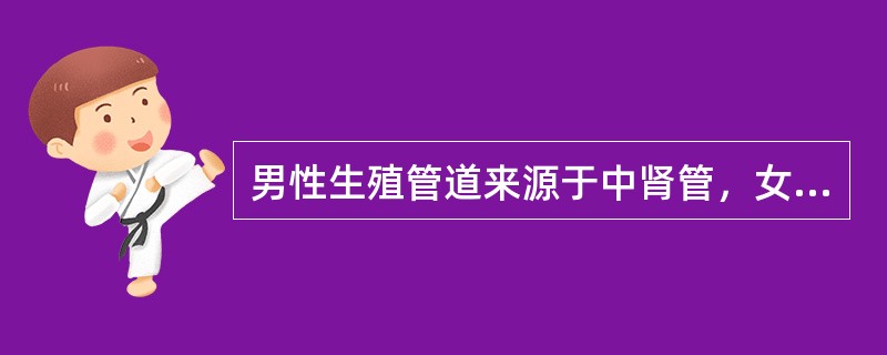 男性生殖管道来源于中肾管，女性生殖管道来源于副中肾管。()