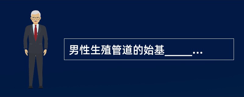 男性生殖管道的始基_______；女性生殖管道的始基_______。