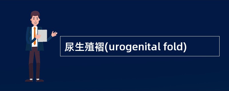尿生殖褶(urogenital fold)