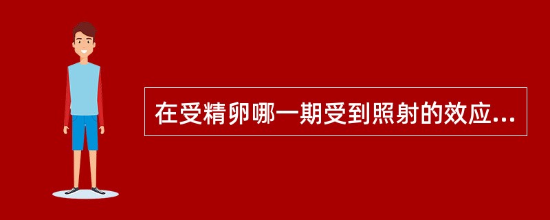 在受精卵哪一期受到照射的效应，表现为显性致死性效应（）。