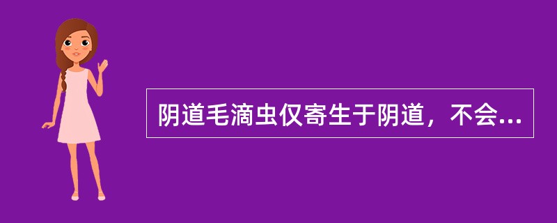 阴道毛滴虫仅寄生于阴道，不会侵入尿道、尿道旁腺。()