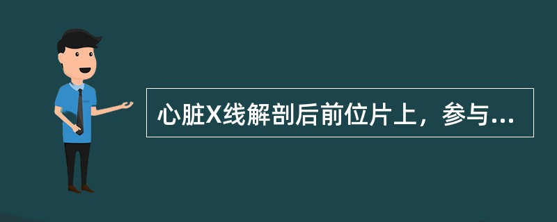 心脏X线解剖后前位片上，参与构成右心缘的有（）。