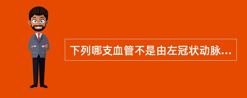 下列哪支血管不是由左冠状动脉发出的分支（）。