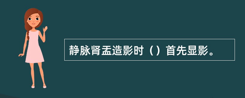 静脉肾盂造影时（）首先显影。