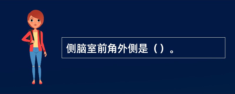 侧脑室前角外侧是（）。