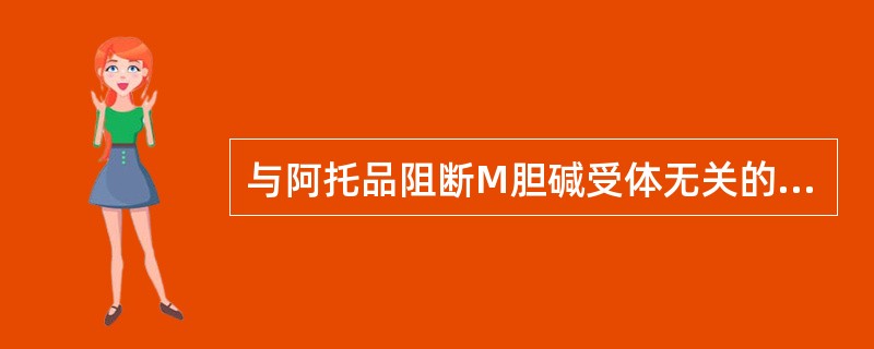 与阿托品阻断M胆碱受体无关的药理作用是（）