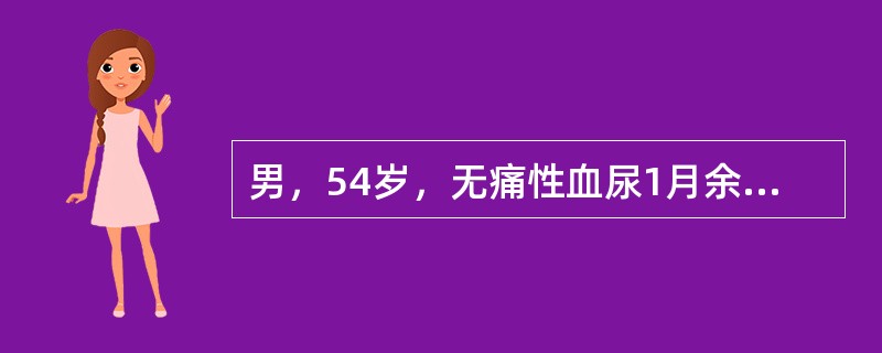 男，54岁，无痛性血尿1月余，根据所示图像，最可能的诊断是（）