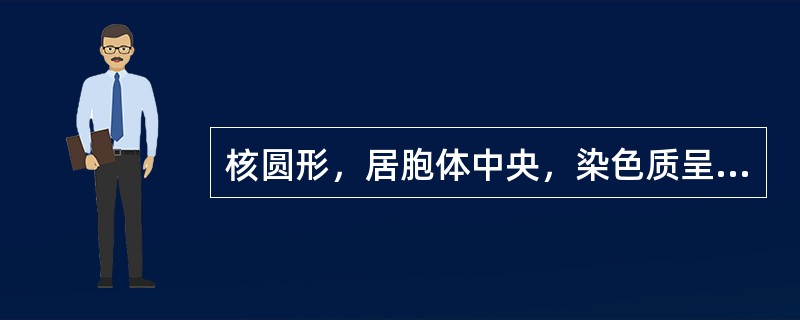 核圆形，居胞体中央，染色质呈块状，核仁消失，胞质呈嗜多色性，该特征符合()