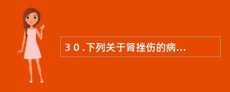 3 0 .下列关于肾挫伤的病理变化描述正确的是A .肾包膜破裂B .肾包膜完整C