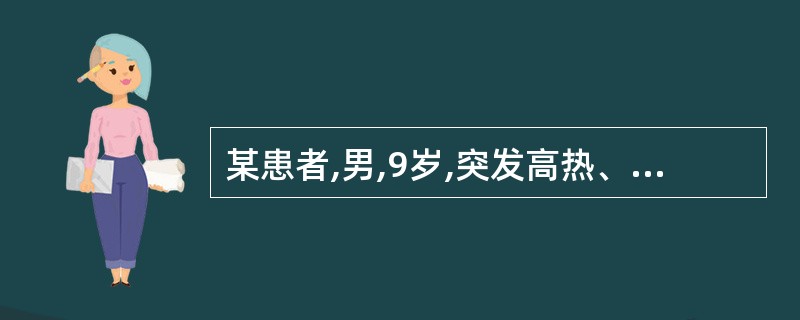 某患者,男,9岁,突发高热、头痛、呕吐、腹泻3天,烦躁不安1天入院。查体:体温3