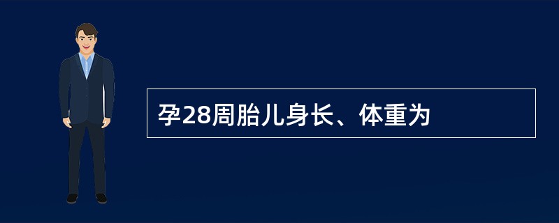 孕28周胎儿身长、体重为