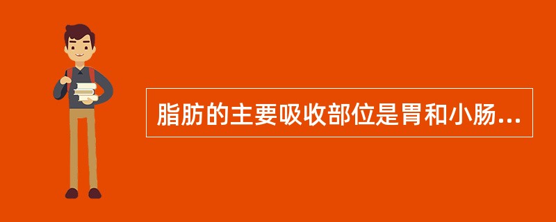脂肪的主要吸收部位是胃和小肠。( )