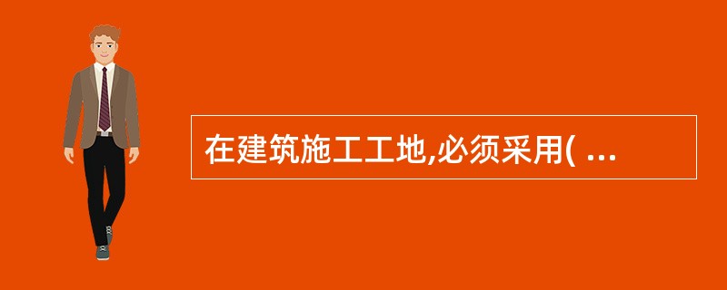 在建筑施工工地,必须采用( )配电及防护系统。