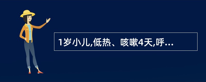 1岁小儿,低热、咳嗽4天,呼吸35次£¯分钟,双肺可闻及少量易变的中、粗湿哕音,