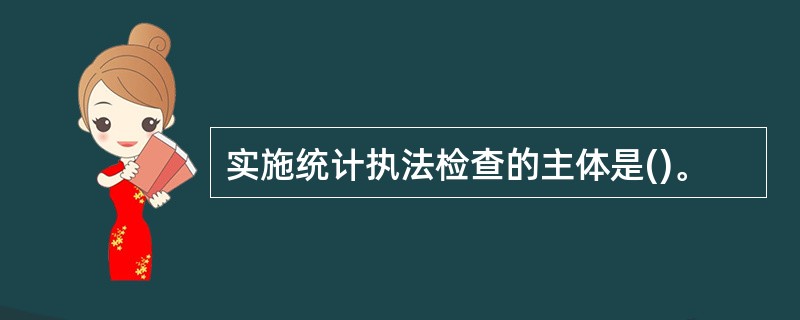 实施统计执法检查的主体是()。