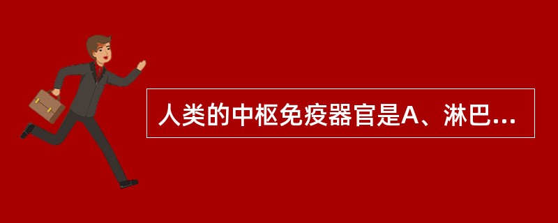 人类的中枢免疫器官是A、淋巴结和脾脏B、胸腺和骨髓C、淋巴结和胸腺D、骨髓和黏膜