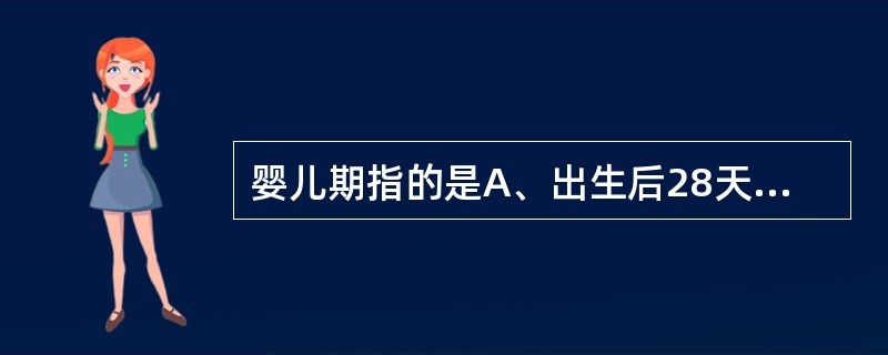 婴儿期指的是A、出生后28天至1周岁B、出生后至1周岁C、出生后1周至1周岁D、