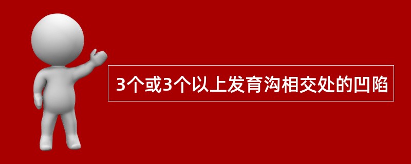 3个或3个以上发育沟相交处的凹陷