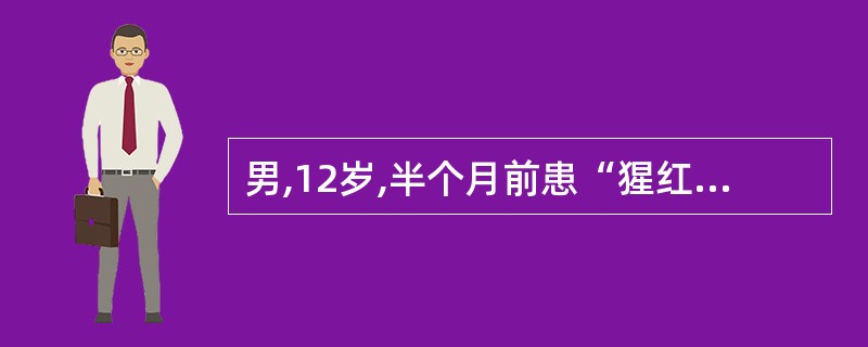 男,12岁,半个月前患“猩红热”,近2天发现患儿眼皮水肿且逐日加重,尿色深如茶水