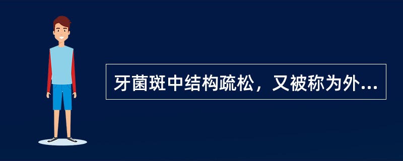 牙菌斑中结构疏松，又被称为外层的是